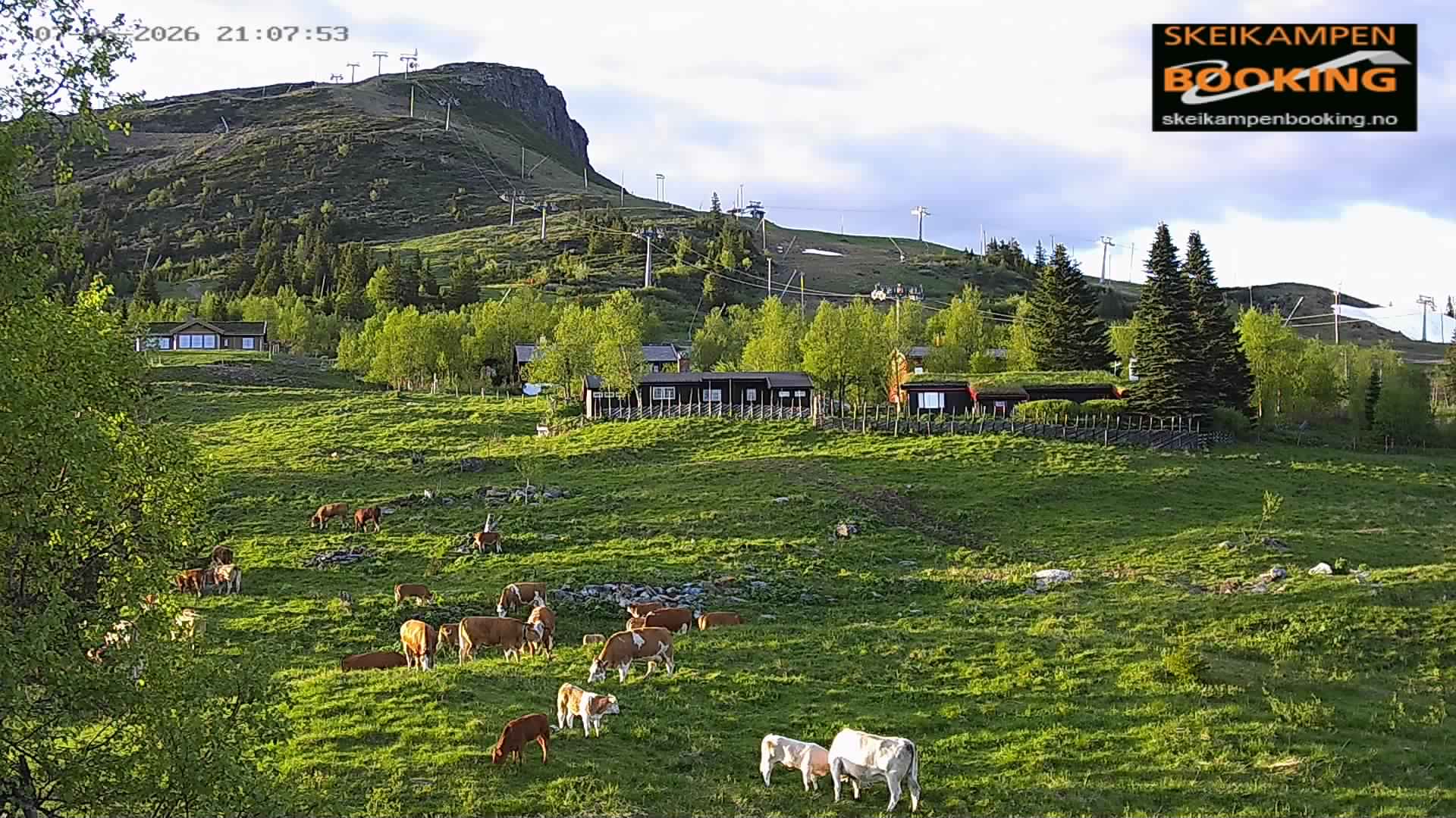 Fjellet